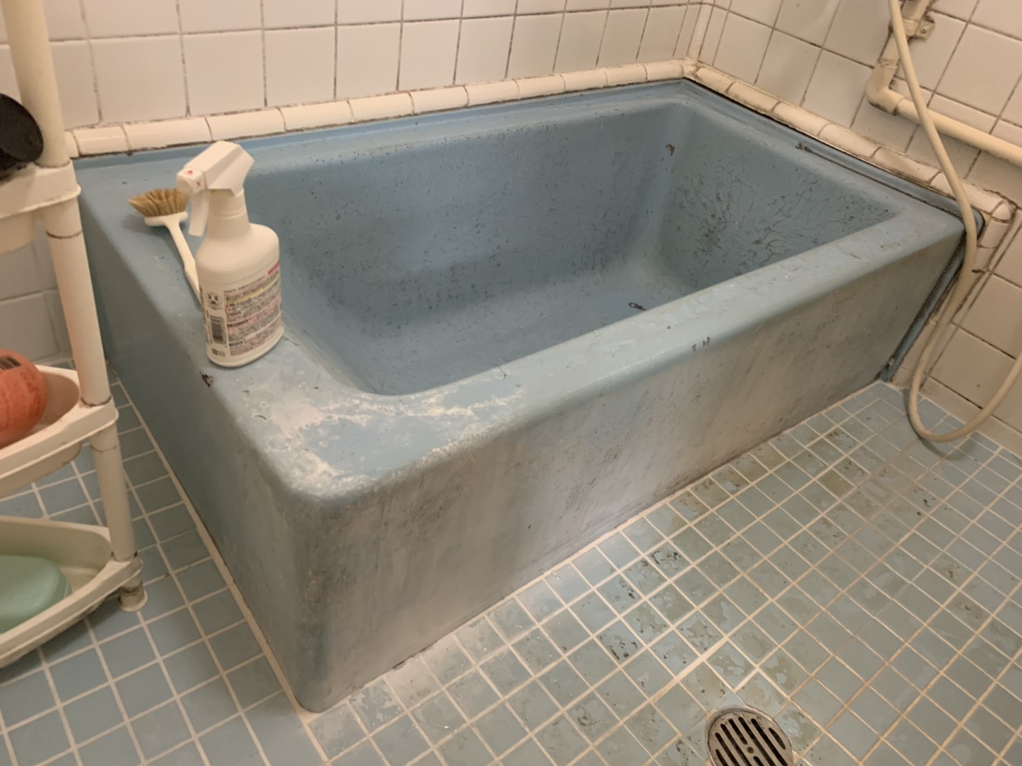 S__3973173